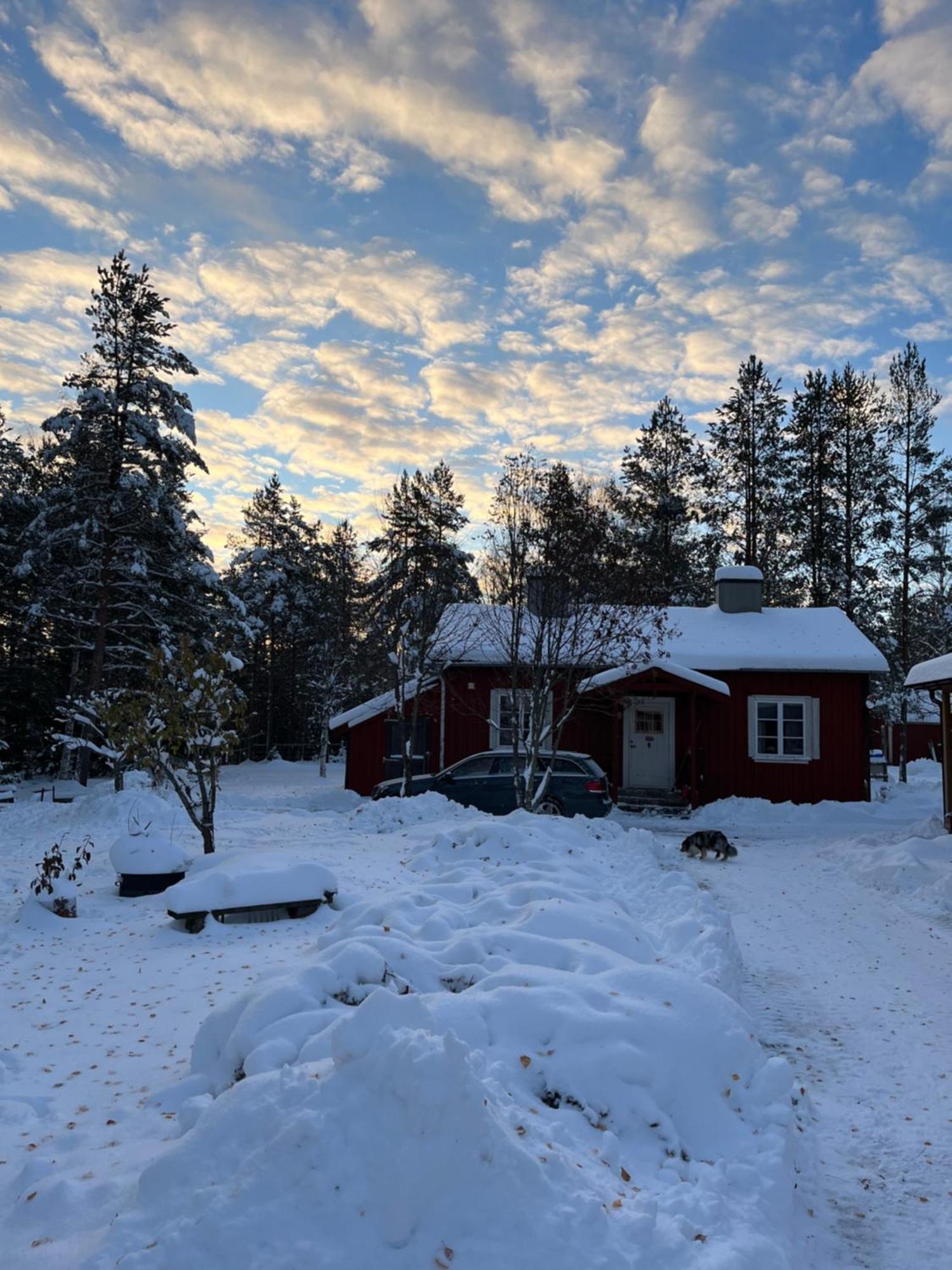 Nya Skogsgarden Hostel Mårbacken Zewnętrze zdjęcie